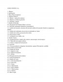 Análisis del mercado, estructura del mercado, ámbito del mercado (Grado de competencia, ámbito)