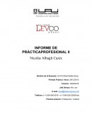 INFORME DE PRÁCTICAPROFESIONAL II