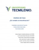 Analisis del caso BIKOR S.A. de C.V.. ¿Es rentable la diversificación?
