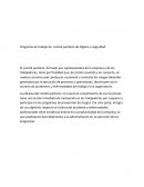 Programa de trabajo de comité paritario de higiene y seguridad