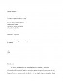 Informática Empresarial Administración de Empresas a Distancia