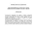 TEMA: RECONOCIMIENTO DE LA ESTRUCTURA Y FUNCIÓN BIOMOLECULAR DE LAS ENZIMAS: CATALASAS Y AMILASAS