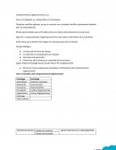 Comportamiento Organizacional (C.O.)