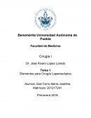 Cirugía Laparoscópica.
