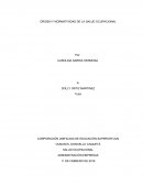 ORIGEN Y NORMATIVIDAD DE LA SALUD OCUPACIONAL