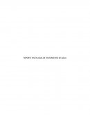 REPORTE VISITA AGUA DE TRATAMIENTO DE AGUA.