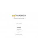 PLAN ANUAL DE ADQUISICIONES DISFRUTA TU CAFÉ S.A.S