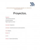 Desarrolla soluciones de comercio electrónico.