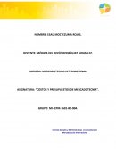 COSTOS Y PRESUPUESTOS DE MERCADOTECNIA