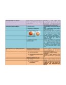 Pares Craneales Sintesis