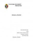 Probabilidad y Estadística - Sobrepeso y Obesidad