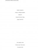 Evolucion del Sistema de Justicia Juvenil