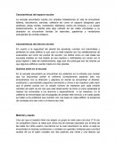 Diario de campo de una escuela secundaria