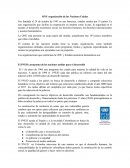 ONU organización de las Naciones Unidas