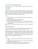 CARACTERISTICAS PETROLÓGICAS DE LOS MINERALES