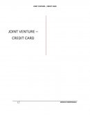 JOINT VENTURE – CREDIT CARD