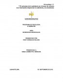 Ensayo diferencias individuales.