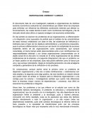 INVESTIGACION LWRENCE Y LORSCH