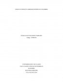 ENSAYO CONFLICTO ARMADO INTERNO EN COLOMBIA