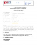 SÍLABO DE AUDITORÍA TRIBUTARIA