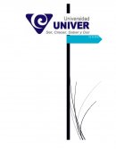 Teoria del caso.DESPIDO INJUSTIFICADO