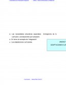 CAPITULO V I : Adaptaciones curriculares