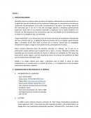 PROCESO DE INTERNACIONALIZACIÓN.