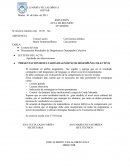 Acta N°11 presentación diag. julio.