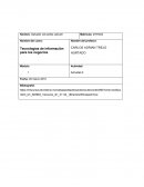 Tecnologías de información para los negocios Actividad