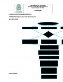 Preinforme carbohidratos