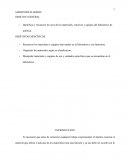 Identificar y reconocer los usos de los materiales, reactivos y equipos del laboratorio de química.