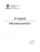 El CAPITAL. Microeconomía I