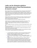 Cuales son los elementos quimicos importantes para el buen funcionamiento de nuestro cuerpo?