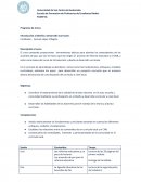 Introducción al Diseño y Desarrollo Curricular.