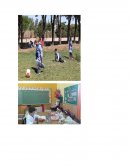 REGISTRO Y ANÁLISIS DE OBSERVACIÓN