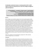 Transfectadas condrocitos humanos