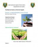 Practica No. 1 Investigación Bibliográfica y fuentes de Consulta.