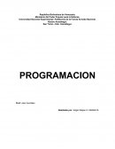 Programacion y metodo numerico
