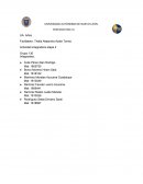 Integradora de artes 2