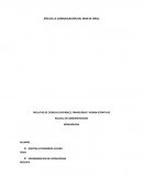 PROGRAMACION DE OPERACIONES.