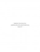 DEFINICION DE ORGANIZACIÓN Y DIRECCION EN LA AREA DE SOPORTE TECNOLOGICO