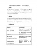 Plan estrategico empresa seguridad privada