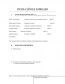 Historia clinica familiar.