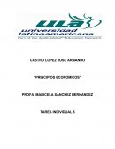 PRINCIPIOS ECONOMICOS”
