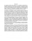 Derechos humanos y la relacion laboral