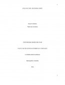 Reflexión acerca de la Carta de Jamaica