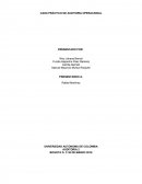 CASO PRÁCTICO DE AUDITORIA OPERACIONAL