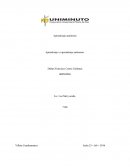 Ensayo- formulacion de proyectos