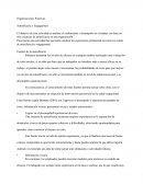 Organizaciones Positivas - Autoeficacia y Engagement.