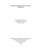 PROGRAMA DE SEGURIDAD Y SALUD EN EL TRABAJO